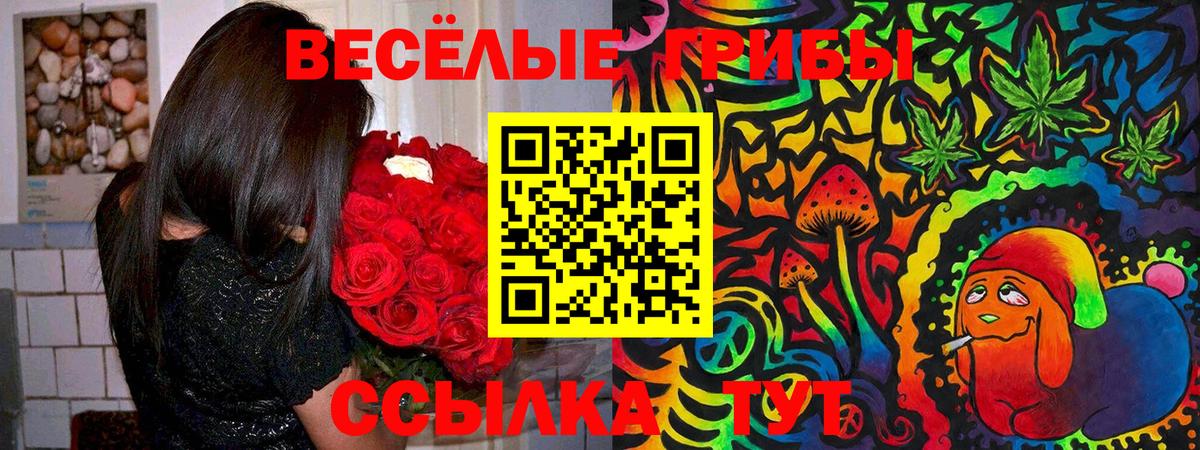 Заволжье  Галлюциногенные грибы Psilocybine cubensis  Вход с VPN  Галлюциногенные грибы MAGIC MUSHROOMS 